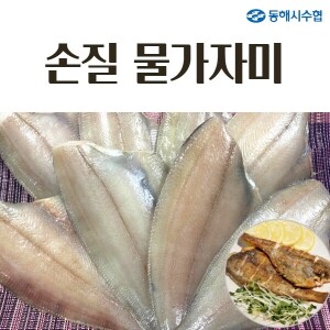 [동해시수협] 동해안 손질 물가자미 4~6마리 (1kg내외)*2팩(총 8~12마리)